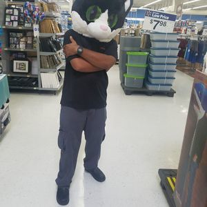 Meet your Posher, Ernest